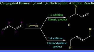 Conjugated Dienes 12 and 14 Electrophilic Addition Reaction [upl. by Russ]