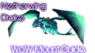 Netherwing Drakes Guide [upl. by Innavoeg]