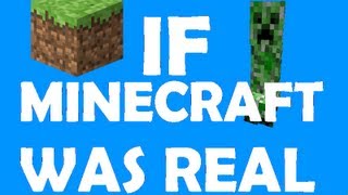 If Minecraft Was Real [upl. by Leiuqeze]