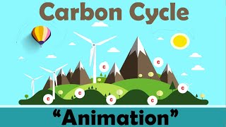 CARBON CYCLE  Biology Animation [upl. by Ettennaej]