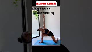 Yoga Warm Up Pre Workout Stretch amp Flow yoga [upl. by Croom485]