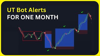 I Tested UT BOT ALERTS TradingView Strategy for an ENTIRE MONTH [upl. by Felise]