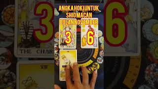 Angka HOKI untuk Shio MACAN bulan November tarotreading tarot ramaltarot tarot2024 [upl. by Eryt]