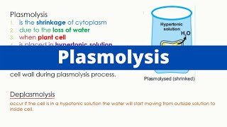 Plasmolysis  Deplasmoysis  Biology [upl. by Assirehc]