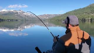 Donner Lake 20 pound Lake Trout [upl. by Aleunam]