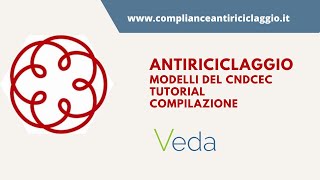 Antiriciclaggio tutorial compilazione dei modelli del CNDCEC [upl. by Humpage306]