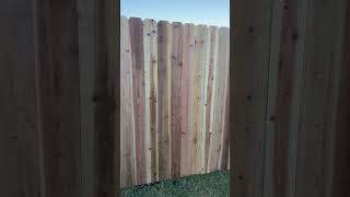 New cedar fence construction bluecollar diy [upl. by Eseuqcaj884]