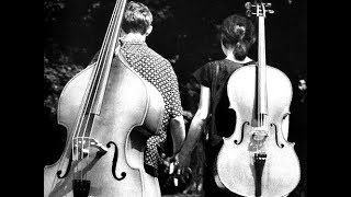 Love Story Theme  Double Bass Solo [upl. by Novej699]