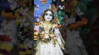 Radhe radhe radhe Krishna [upl. by Immas]