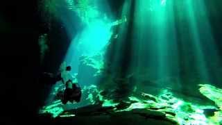 Gopro  Mexico  Diving in Cenotes of Yucatan Best of [upl. by Arrim562]