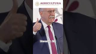 SIGUEN LOS PROGRAMAS DE AGRICULTURA BIENESTAR SADER [upl. by Lagiba]