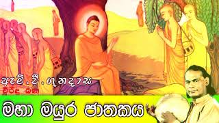 මහා මයුර ජාතකය  Viridu Bana  M V Gunadasa [upl. by Eniala]