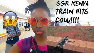 SGR KENYA  TRAIN HITS A COWLIVE FOOTAGE [upl. by Estrella713]