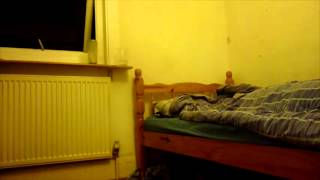 Man films ghostly manifestation hovering over bed while he s [upl. by Eyanaj]