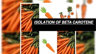 Isolation of beta carotene from carrots 🥕 chmistry msc video trending organic viral [upl. by Aurie]