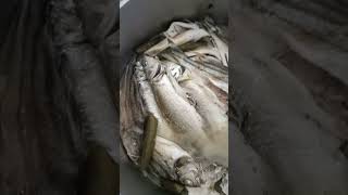 Paksiw na isda 😋 satisfying shortvideo shorts paksiw [upl. by Rohn88]