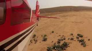 GoldWing Bellanca 30cc Decathlon [upl. by Homer]