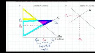 The Gains from International Trade in the Demand and Supply model [upl. by Sanborne]