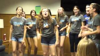 Staam  A Capella Group  Wash U [upl. by Eibrik]