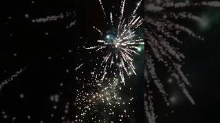 Lidl The New Beastmaster fireworks feuerwerk silvester [upl. by Htelimay439]