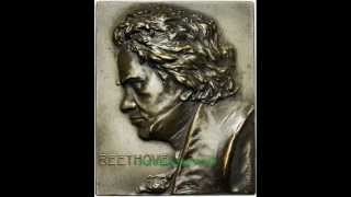 Beethoven Symphony 7 mov 2 Allegretto [upl. by Jollenta]