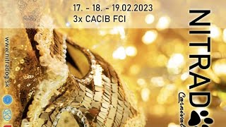 FCI  CACIB dog show in NITRA Slovakia 18th Feb 2023 [upl. by Licec]