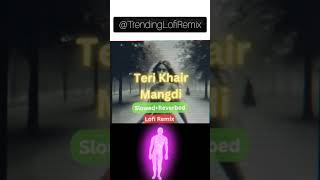 Teri Khari Mangdi Shorts New Video Slow amp Reverb lofi music [upl. by Dry568]