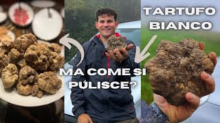 PULIZIA del TARTUFO BIANCO Pulirlo in 3 SEMPLICI PASSI [upl. by Jer]