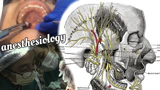 Dental Anesthesiology  Armamentarium amp Blocking Techniques 🦷💉 [upl. by Notslah]