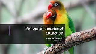 Biological Theories of Attraction [upl. by Stoops]