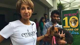 Embark Adoption Day at Embark HQ [upl. by Eseryt]