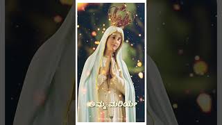 Amma Mariye  Mother Mary Song Kannada Status Vedio [upl. by Siramed]