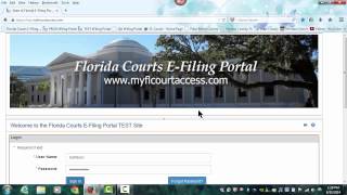 Florida Courts EFiling Video  Getting Started for the SelfRepresented Litigant [upl. by Narud182]