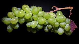 Grapes to Raisins Time Lapse  50 Days【4K】 [upl. by Bryant8]