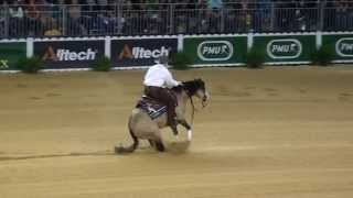 HF Mobster Individual Run at the 2014 World Equestrian Games in Normandy France [upl. by Aviv]