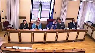 Commissione Covid audizione di Sabrina Gualini Comitato familiari vittime  8 Ottobre 2024 [upl. by Omlesna]