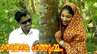 തെക്കേലെ പാത്തുമ്മ  Malayalam Mappila Songs  Malayalam Album Songs 2015 HD [upl. by Srevart]