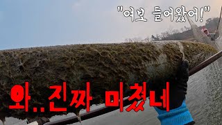 와 물 속에 pvc파이프가 보이면 무조건 건져보세요 대박납니다 [upl. by Nayek569]