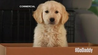 GoDaddy Super Bowl Commercial Pulled After Backlash [upl. by Kancler]