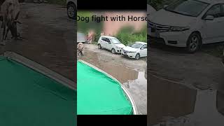 Poor Horse dog fight dog bites horse and jump over car punjabisong newvideo dogfight punjabi [upl. by Trauner]