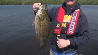 Hardy Dam Pond Smallmouth Bass Video Fishing Report [upl. by Hulbard]