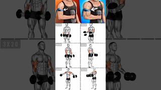 Bigger Arms Workout with dumbbell 💪 shorts gym biceps fitness workout [upl. by Demetria835]