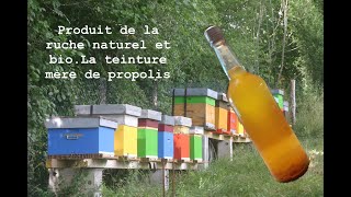 Valorisation de la propolis par extraction [upl. by Jodi]