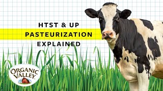 UP and HTST Pasteurization Explained  Ask Organic Valley [upl. by Ssur]