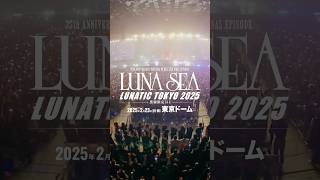 LUNATIC TOKYO 2025  黒服限定GIG  shorts lunasea ルナシー 東京ドーム tokyo tokyodome rock [upl. by Nowad]