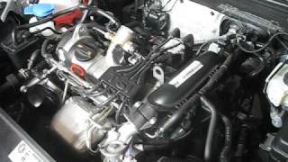 VW Golf VI 6 12 TSI 105 PS BMT Motor Steuerkettenrasseln  Timing Chain Problem Rattle  Sound [upl. by Patman]