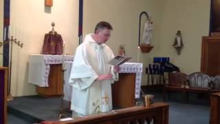 Mercedarian Scapular Sodality Ritual Blessing [upl. by Agn96]