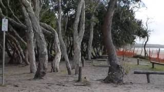 Adder Rock Camping Ground  Point Lookout  North Stradbroke Island [upl. by Aed380]