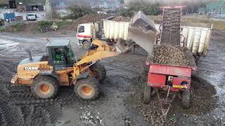 Sugar Beet Loading  CASE Wheel Loader  Martham Norfolk UK [upl. by Garret983]