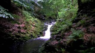 Ardennen  Ardennes Hockai Wandelen  Hiking  Fleet Foxes [upl. by Oliy]